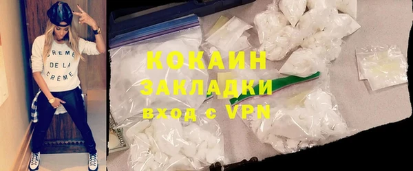 СК Алексин