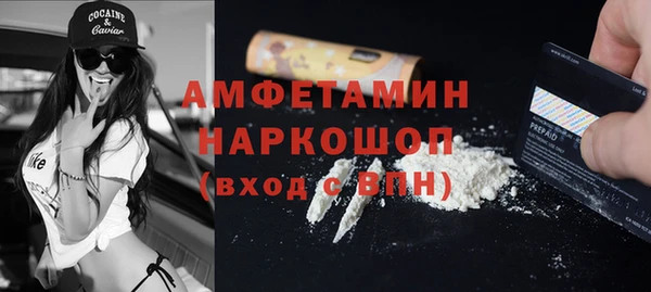 СК Алексин