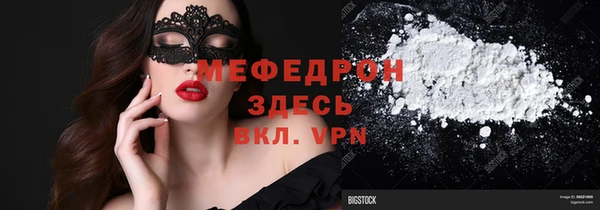 СК Алексин