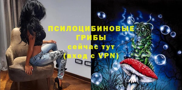 СК Алексин