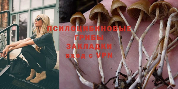 твердый Алексеевка