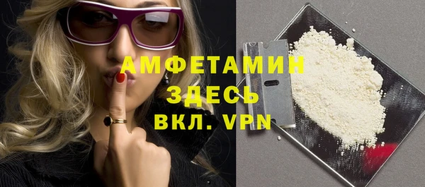 СК Алексин
