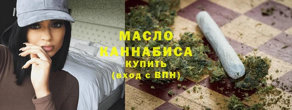 СК Алексин
